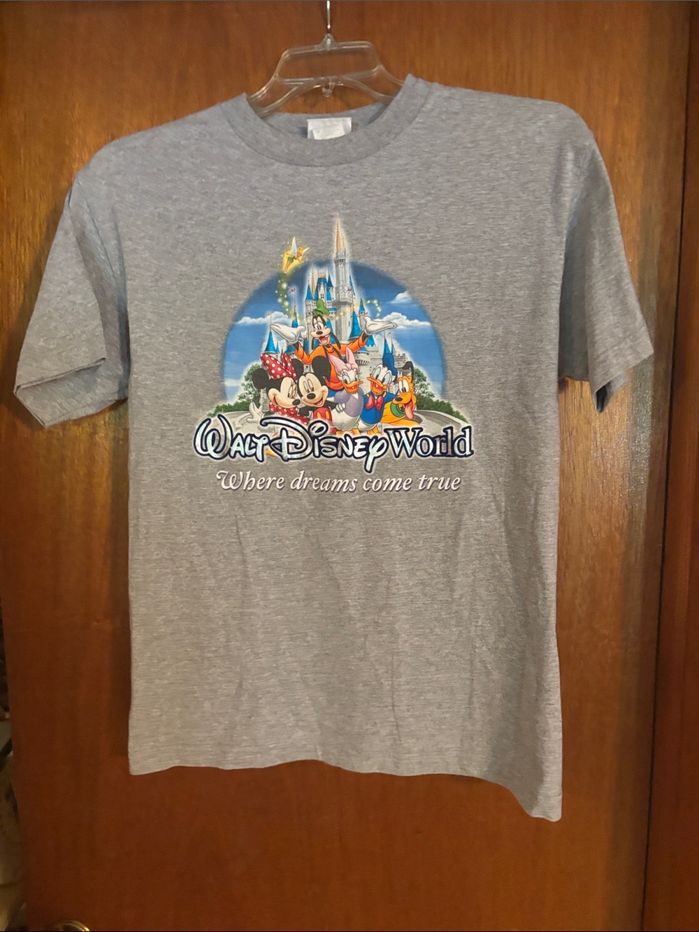 Disney Gray  Walt Disney World Graphic Tee with Characters